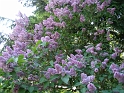 DSC03840
