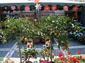 DSC03433