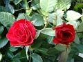 DSC03457