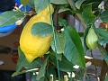 DSC03486