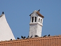 DSC03507