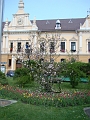 DSC03517