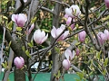 DSC03518