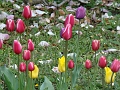 DSC03519