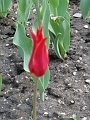 DSC03520