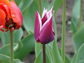 DSC03524