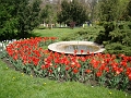 DSC03531