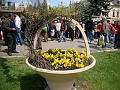 DSC03533