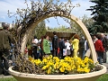 DSC03534