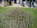 DSC03535