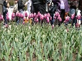 DSC03536
