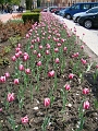 DSC03540