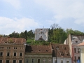 DSC03541