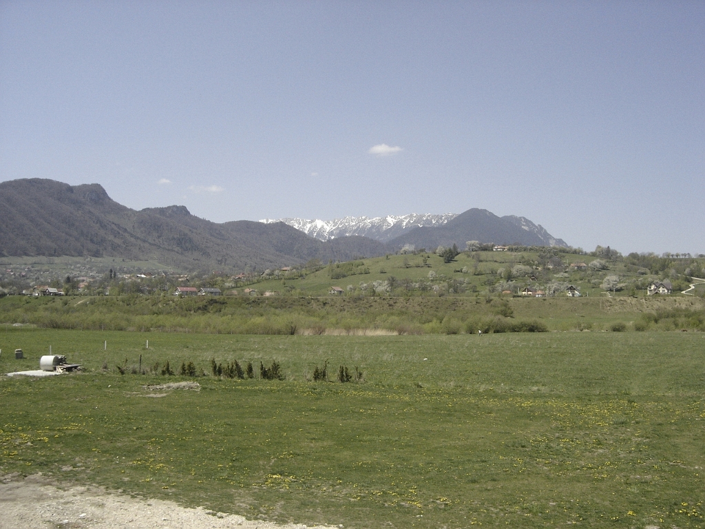 DSC02581.JPG