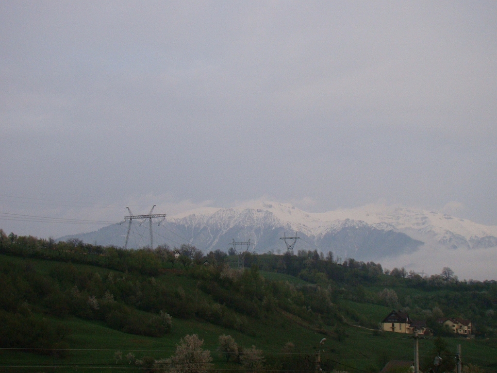 DSC03367.JPG