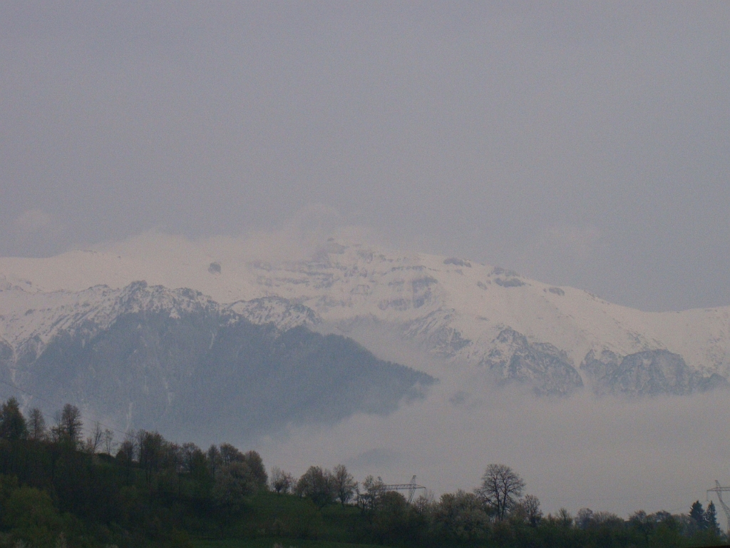 DSC03368.JPG