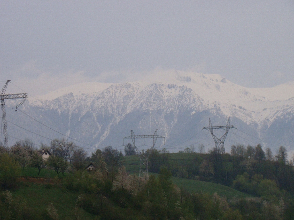 DSC03369.JPG