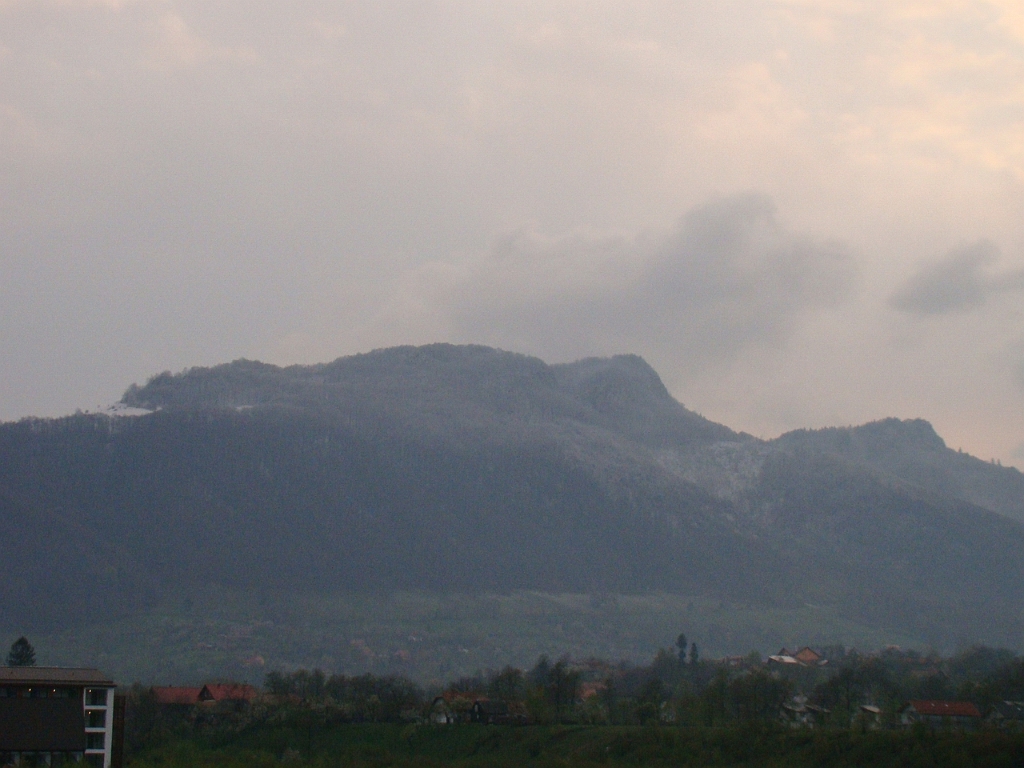 DSC03371.JPG