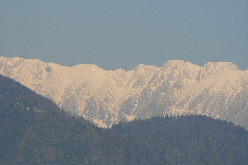 IMG_2718.JPG