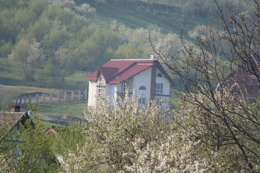 IMG_2739.JPG
