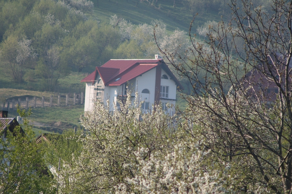 IMG_2741.JPG