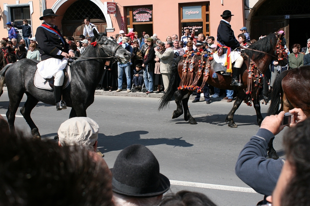 IMG_2869.JPG