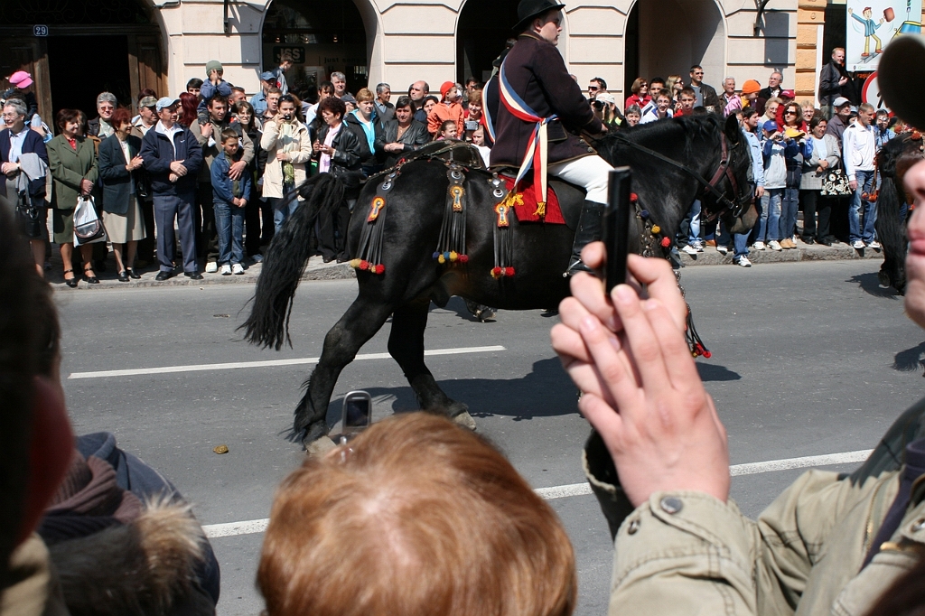 IMG_2873.JPG