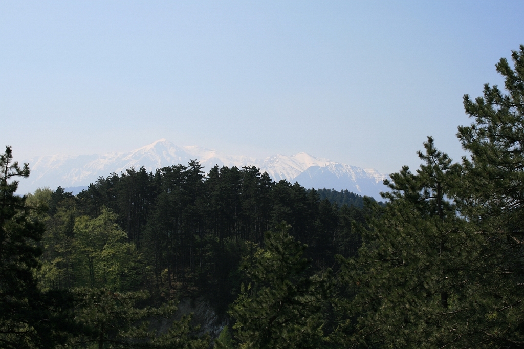 IMG_2969.JPG