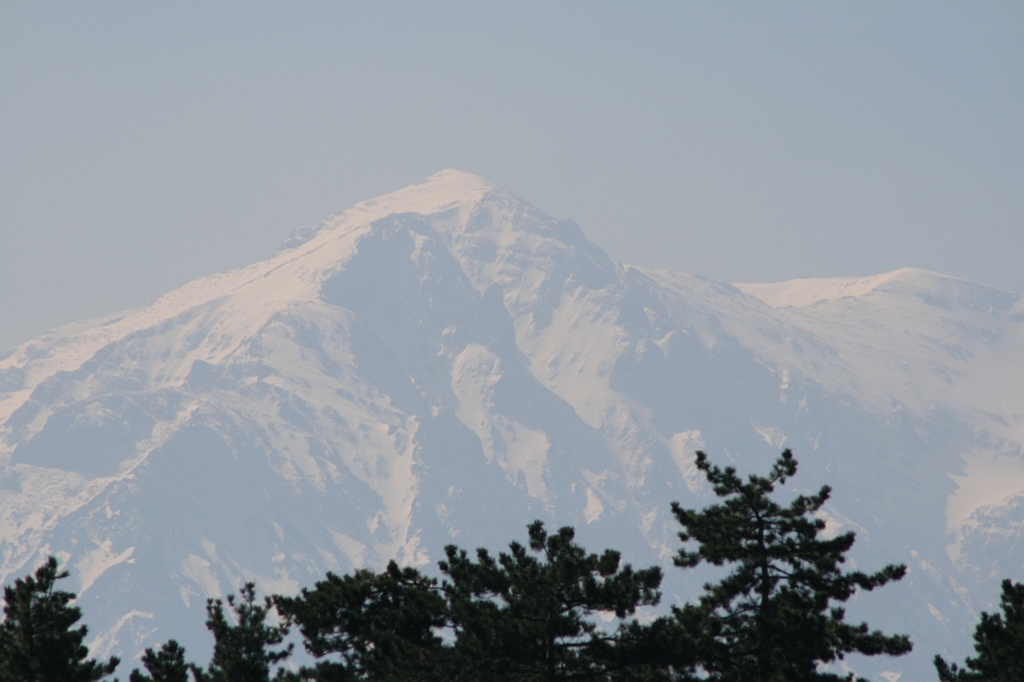IMG_2972.JPG