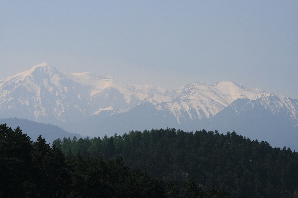 IMG_2976.JPG