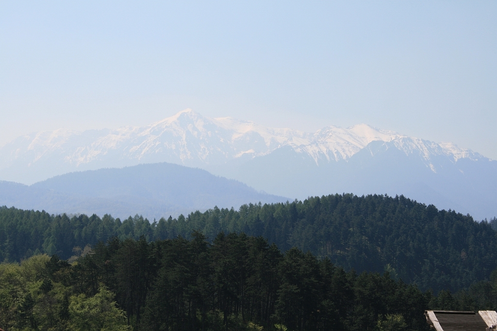 IMG_2985.JPG