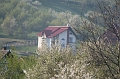 IMG_2740