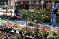 IMG_2766