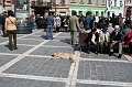 IMG_2768
