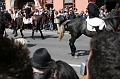 IMG_2870