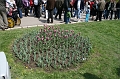 IMG_2951