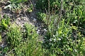 IMG_2965
