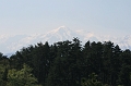 IMG_2970