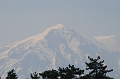 IMG_2971