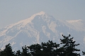 IMG_2973