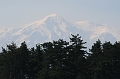 IMG_2974