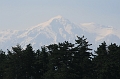 IMG_2975