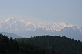 IMG_2976