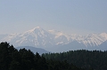 IMG_2977