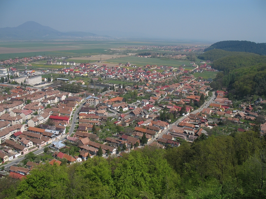STB_0579.JPG