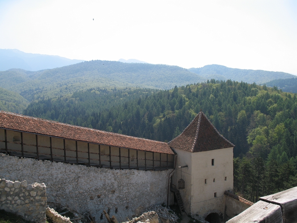 STB_0585.JPG
