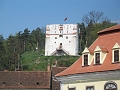 IMG_0494