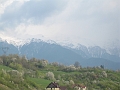 IMG_0527