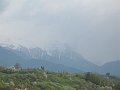 IMG_0528