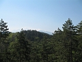 IMG_0536